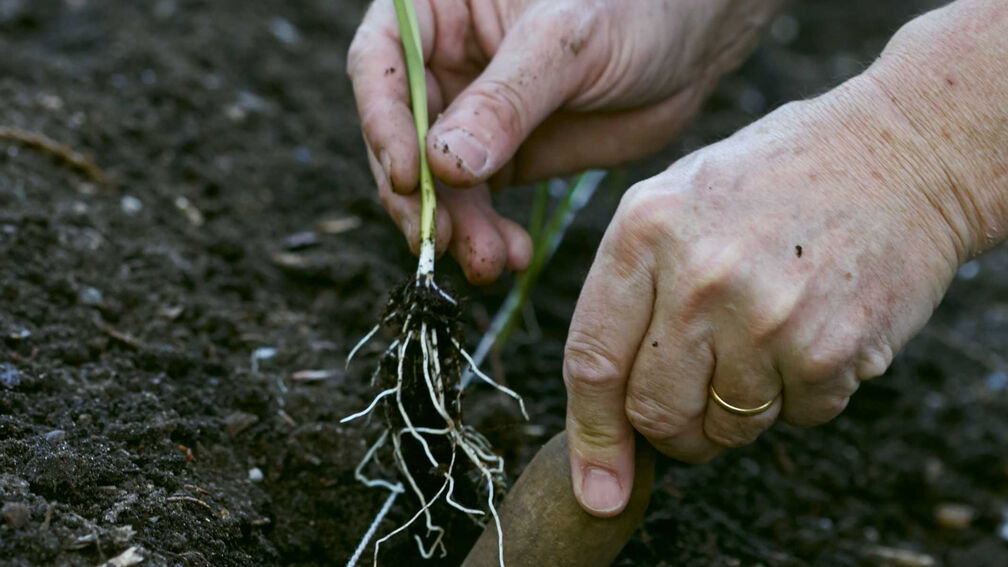 Garten gut vorbereitet