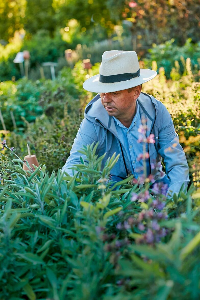 Remo Vetter beantwortet Fragen zur Gartengestaltung, Pflanzenwahl, Pflege und Anbau.