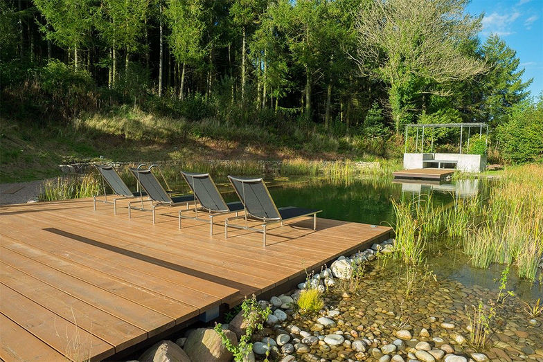 Idylle pur: Beim «Biotop Design Froschkönig Wettbewerb 2016» gewann diese Anlage den ersten Preis in der Kategorie «Swimming Teich».